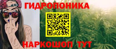 молекула духа Заволжье