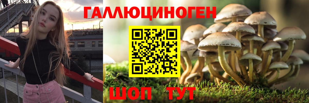 Люберцы  наркота  Вход с VPN  Галлюциногенные грибы Magic Shrooms 