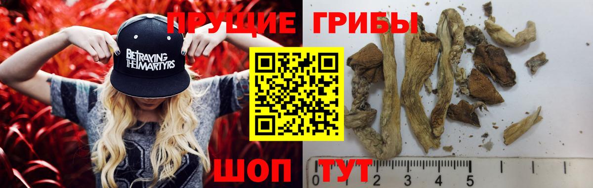 Галлюциногенные грибы Cubensis Люберцы